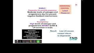 CH 22 8 Luteal Phases Feedback Loop [upl. by Etheline]