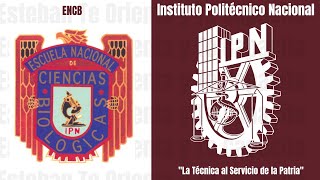 ENTREVISTA CON ALUMNA DE EXCELENCIA DEL IPN ENCB [upl. by Isahella]