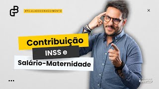 INSS  Contribuição Previdenciária SalárioMaternidade [upl. by Aicemat427]