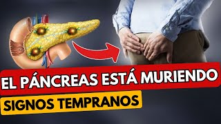 ¡Tu cuerpo grita sobre problemas pancreáticos Los primeros signos de la enfermedad pancreática [upl. by Gnaig]