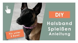 DIY Halsband  Anleitung  unter 2 €  PPM Seil  Spleißen [upl. by Hymen]