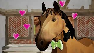 Horse amp Hoof VR Trailer [upl. by Saduj]