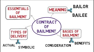 Contract of Bailment Law of Contracts common law system [upl. by Ayekan804]