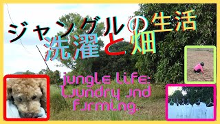 ジャングルの生活、洗濯と畑。Jungle life Laundry and field [upl. by Okiron221]