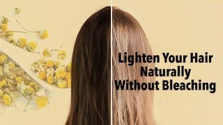 Lighten your hair naturally without bleaching miracle of camomile teaNZ HAIR LIGHTENING [upl. by Omland]