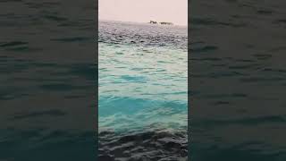 Hind mahasagar Maldives beachlifeisthebestlife [upl. by Hollerman]