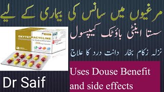 oxytetracycline capsules uses in Urdu oxytetracycline capsules benefits and side effects Dr Saif [upl. by Yajet]