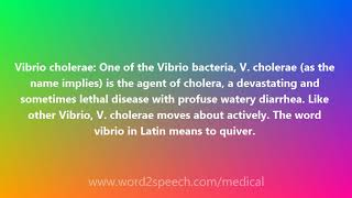 Vibrio cholerae  Medical Meaning and Pronunciation [upl. by Moll]