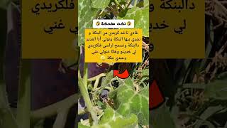 كيفاش دير لاباس 😂😂🤣🤣🤣😁 في أقل من 5 ثواني وغادي تربح معنا إن شاء الله [upl. by Jael89]