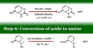 Oseltamivir Brand name TAMIFLU  Total Asymmetric Synthesis [upl. by Brenda]