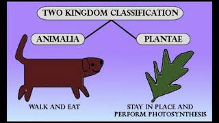 Prokaryotic and Eukaryotic Cell  Five Kingdom Classification System [upl. by Vasily]