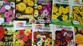 Winter flowers seed  Best Growing Time 15 September and 15 October [upl. by Noivaz]