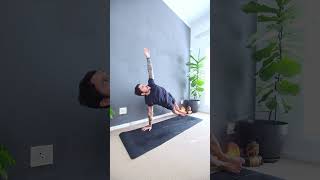 Beginners Vinyasa Yoga  Practise here 👆 [upl. by Esinrahs]