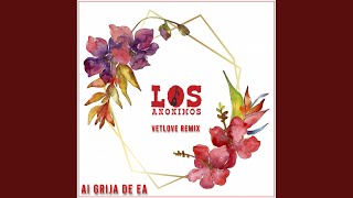 Ai grija de ea VetLove Dub Mix [upl. by Ia213]