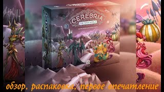 CEREBRIA The Inside World  обзор уникальной игры под распаковку коллекционного издания Церебрия [upl. by Countess]