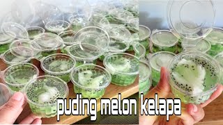 Resep Puding Melon Kelapa Mudah Dan Enak [upl. by Arutnev516]