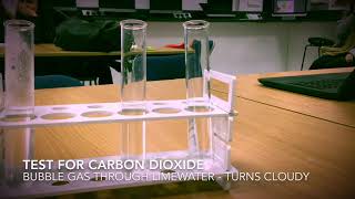 Chemical Tests Hydrogen and Carbon Dioxide [upl. by Swane]