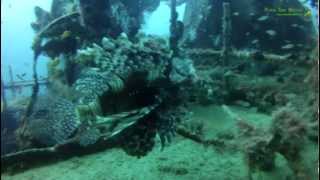 Kuda Giri Wreck Maldives [upl. by Santiago9]