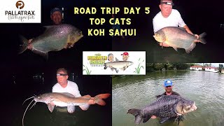 Fishing in Thailand  The Overrated Anglers  Road trip  Top cats Koh Samui Siamese on the feed [upl. by Kwan985]