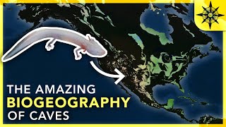 The Amazing Biogeography of Caves [upl. by Deach]