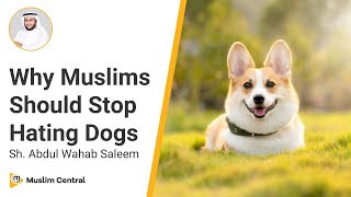 Muslim Dogophobia  Are Dogs Really Najis  Sh Abdul Wahab Saleem [upl. by Zoeller342]