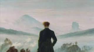 IL VIANDANTE  DER WANDERER By F SCHUBERT Sottotitoli in Ita  Eng  Aleman [upl. by Neu]