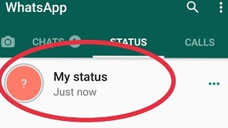 How To Fix My Whatsapp Status Not Showing Other Person Problem Solve [upl. by Blanc979]