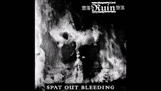 Ruin  Pause  Spat Out Bleeding  Pause Split 7quot EP 2005 Full [upl. by Esdnyl770]