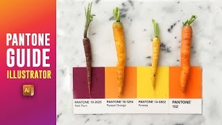 ILLUSTRATOR PANTONE COLOUR TUTORIAL GUIDE  Satori Graphics [upl. by Gwenette]