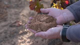 SORIA ATUAUTA Fruto de la Vid Atauta y sus bodegas [upl. by Sale]