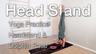 30 Min Yoga Flow  Yoga with Headstand amp Dolphin Pose [upl. by Crooks]