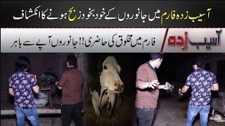 Asaib Zada Farm Ki Khofnak Kahani  White Libas Main Makhloq Ki Hazri  Asaib Zada  7NewsHD [upl. by Ahsitauq306]