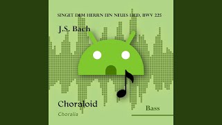 Singet dem Herrn ein neues Lied BWV 225 Lobet den Herrn in seinen Taten chorus I Voice [upl. by Yartnod]