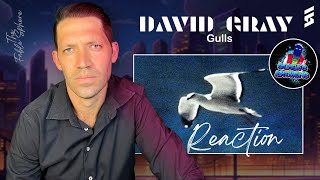 David Gray  Gulls Reaction AS Series [upl. by Dagmar]