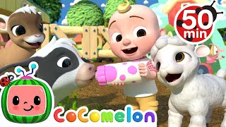 Old MacDonald Song  Baby Animals  More Nursery Rhymes amp Kids Songs  CoComelon [upl. by Giacamo]