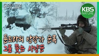 툰드라의 방랑자 순록 그를 쫓는 사냥꾼 환경스페셜동물 대이동 위대한 여정 제3편 툰드라의 순례자 순록  KBS 20080123 방송 [upl. by Priest910]