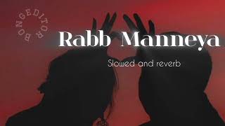 Rabb Manneya  Slowed and reverb viralvideo love song music viralvideos slowedandreverb [upl. by Ashleigh]