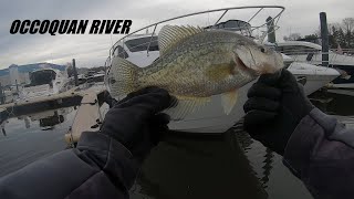 Winter Crappie Fishing on the Occoquan River [upl. by Kcired]