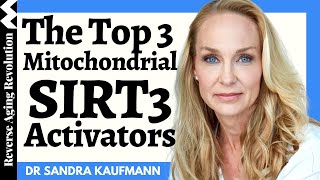 3 WAYS To Save Our Mitochondria amp TOP 3 Natural SIRT3 Activators  Dr Sandra Kaufmann Interview Clip [upl. by Nicky929]