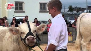 Concours charolais 2013 [upl. by Cash]