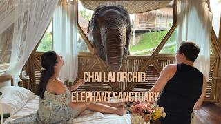 We Visited The CHAI LAI ORCHID ELEPHANT SANCTUARY in Chiang Mai Thailand [upl. by Arrim251]