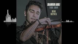 Shadmehr Aghili  Yakh Zadam  RSH Remix [upl. by Krisha261]