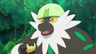 Passimian Pokemon all Attacks pokemon passimian all new attacks youtubevideo [upl. by Ahsiloc]