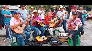 Hecho en Medellin Los auténticos del ritmo Parque berrio [upl. by Mccandless809]