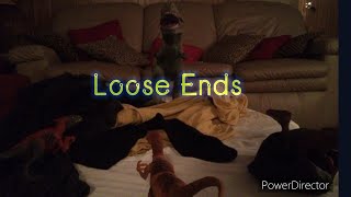 Dawn of the Dinosaurs S1 Episode 4 Loose Ends [upl. by Nallac97]