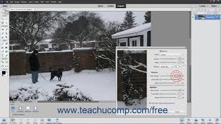 Photoshop Elements 2020 Tutorial Adjust Sharpness Adobe Training [upl. by Sheng]