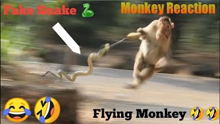 Fake Snake Prank On Monkey Part 5  Fake Snake Prank Monkey  Funny Monkey Video  Funny Uploads [upl. by Amles628]