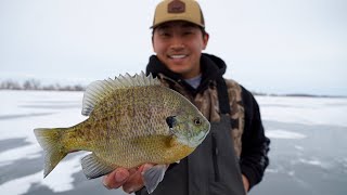 Ice Fishing For Giant Bluegill CATCH CLEAN COOK [upl. by Placidia]