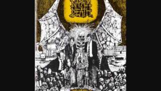 Napalm Death  Scum [upl. by Harwill458]