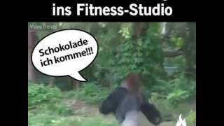 Ich auf dem Weg ins FitnessStudio [upl. by Eceirehs426]